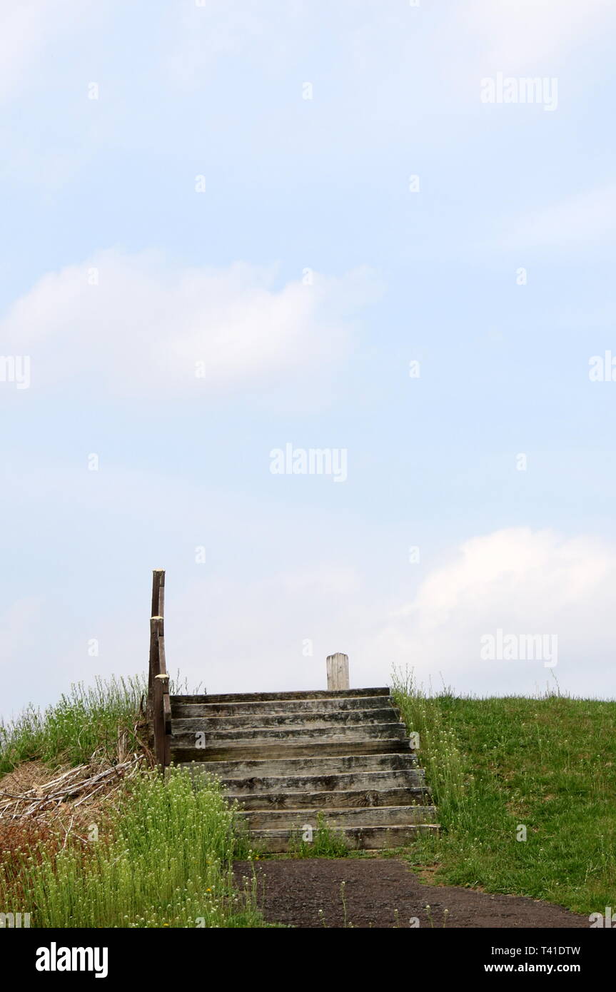 In einem Park gibt es viel zu tun. Stockfoto