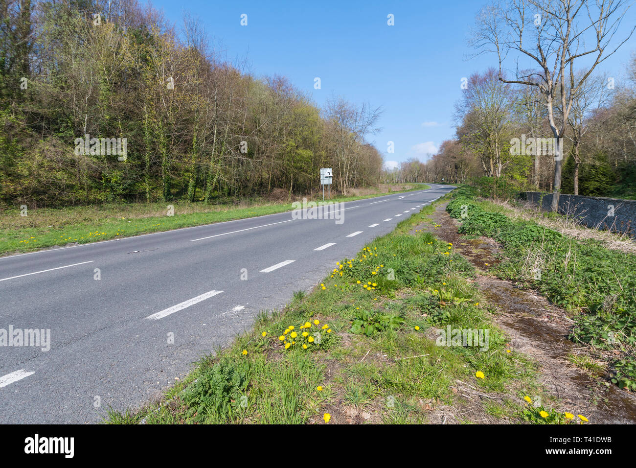 Blick auf die A 284 Hauptstraße durch die Landschaft mit keine Autos, in West Sussex, England, UK. Britische Straße ohne Autos. Stockfoto