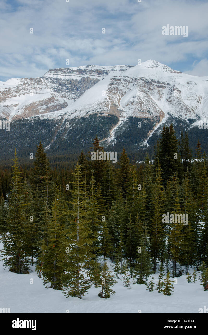 Berge in der Nähe von Lake Peyto im Banff National Park Stockfoto