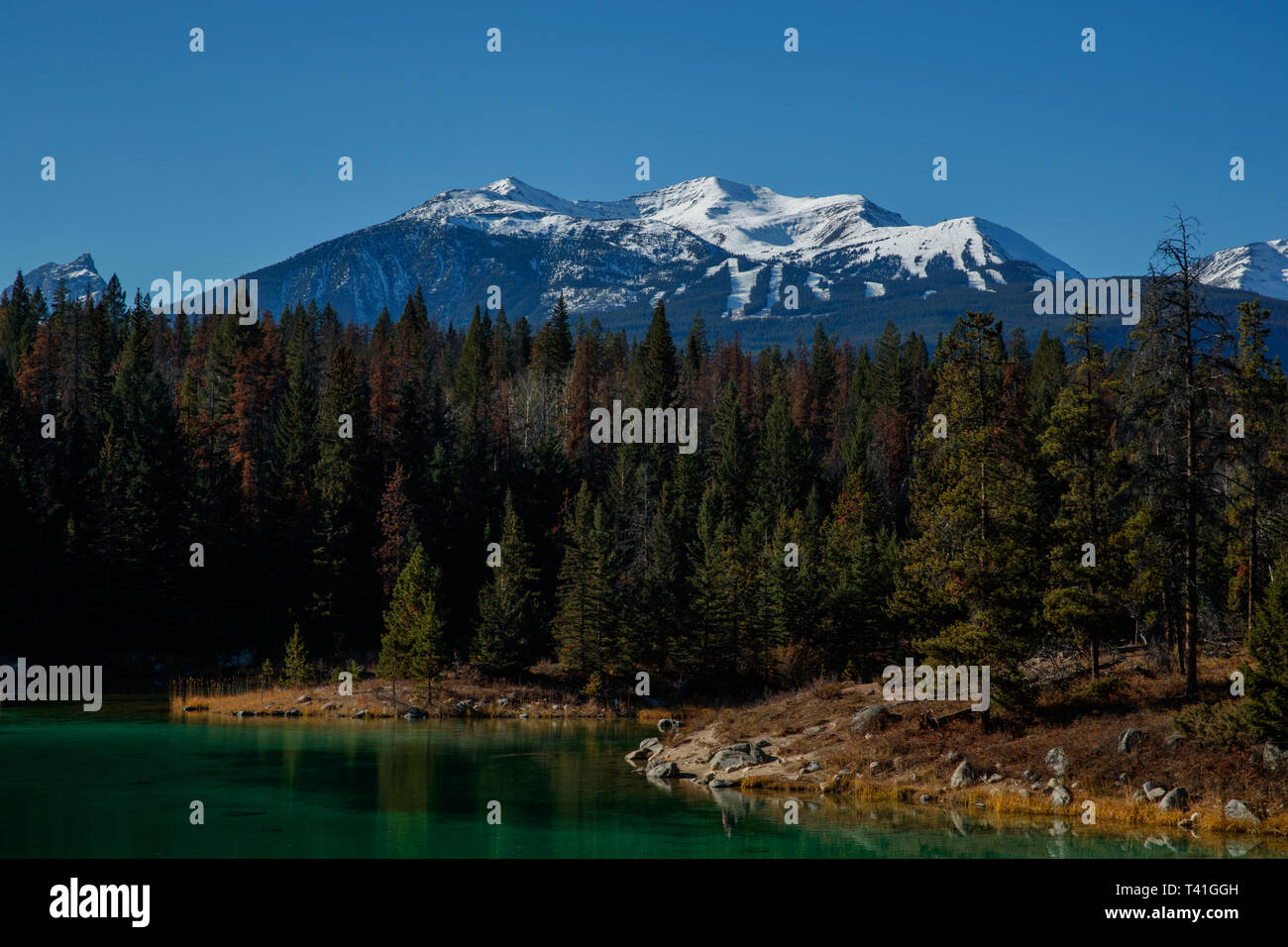 Tal der fünf Seen mit einem Berg hinter Jasper, Alberta, Kanada Stockfoto