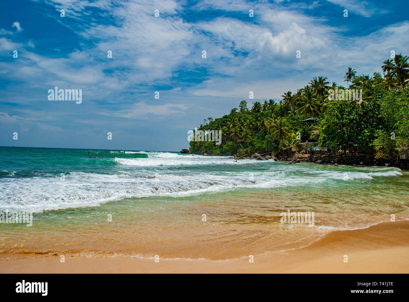 Tropischer Strand und Meer in Mirissa in Sri Lanka Stockfoto