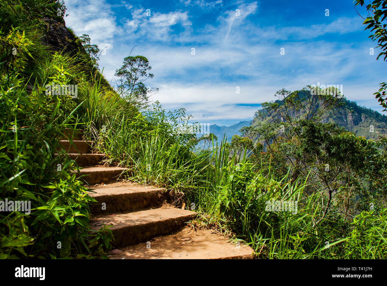Trail zu Little Adam's Peak in Ella in Sri Lanka Stockfoto