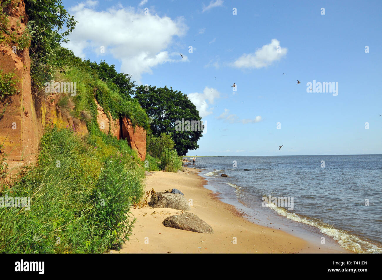 Lake Peipus, Estland. Peipus-tó, Észtország. Stockfoto