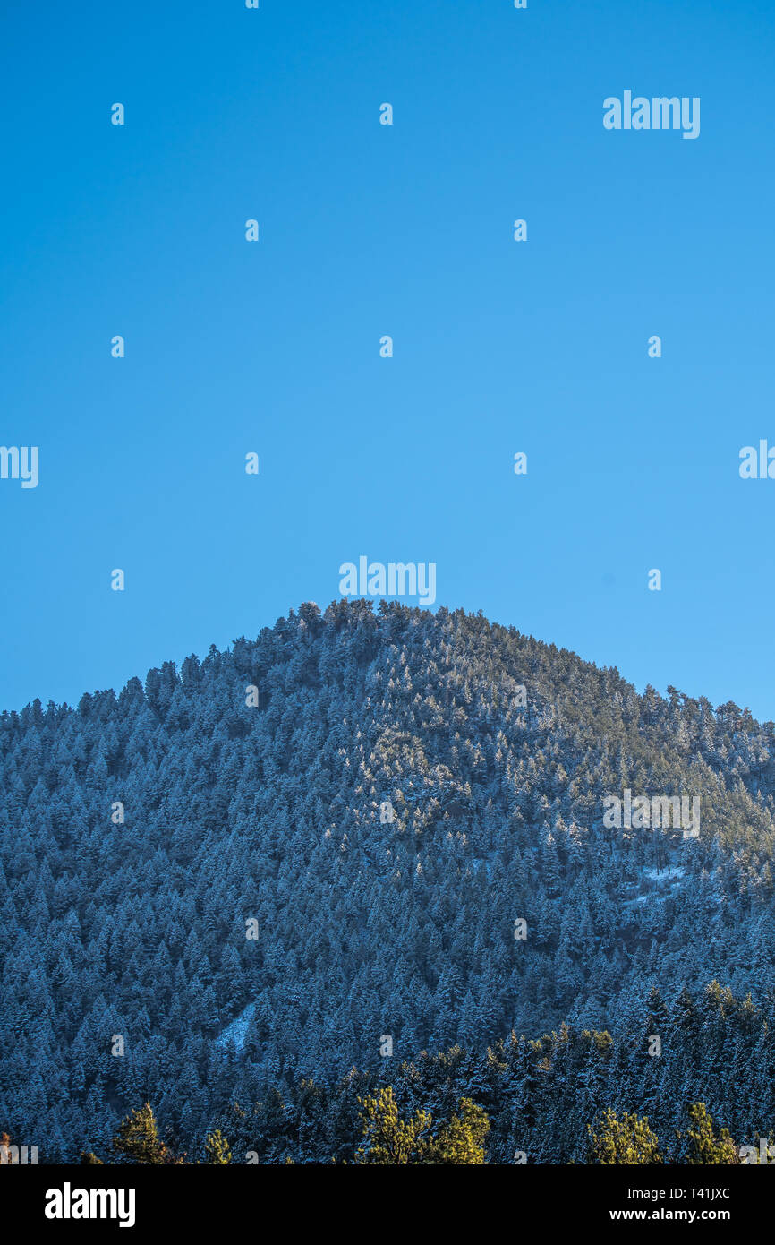 Schneebedeckte Berge und Evergreens Stockfoto