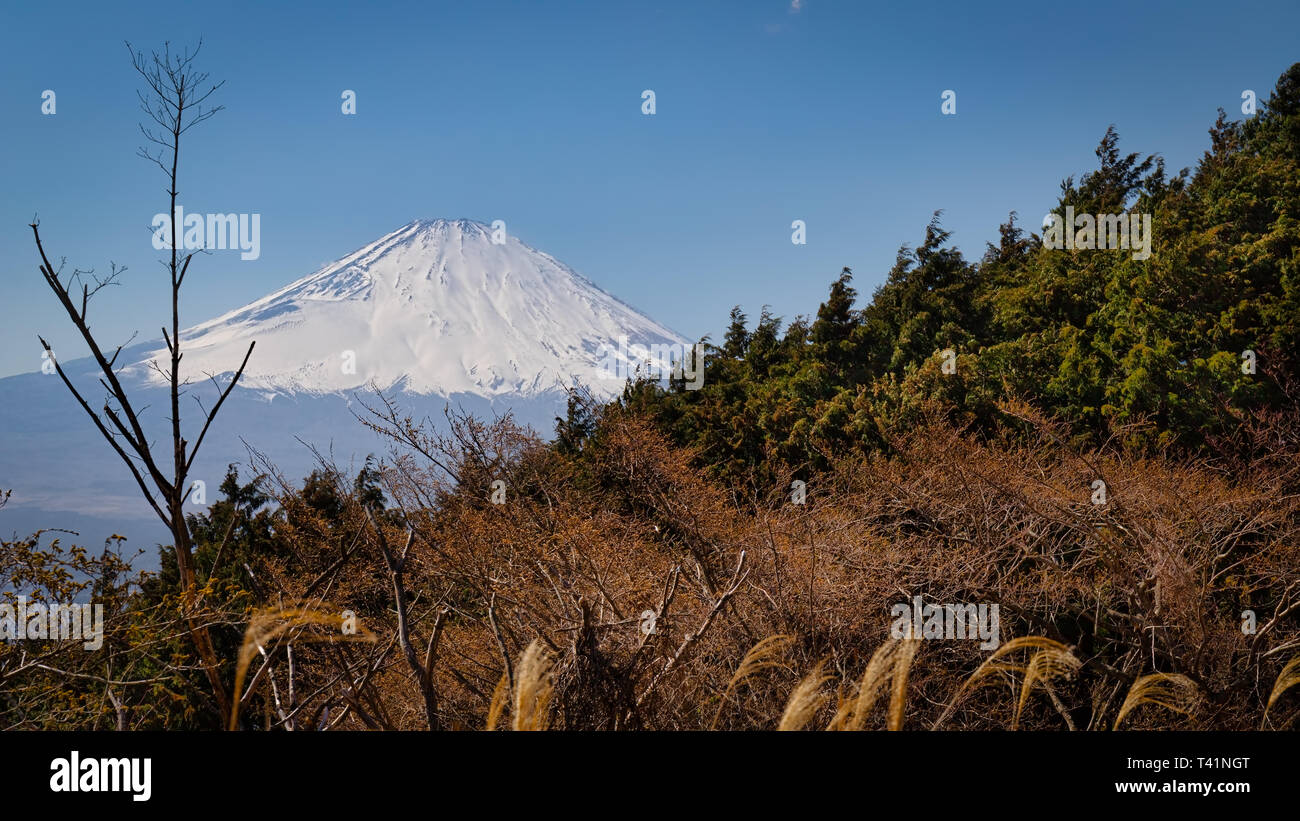Mount Fuji von Wäldern im Süden der Präfektur Shizuoka gesehen. Stockfoto