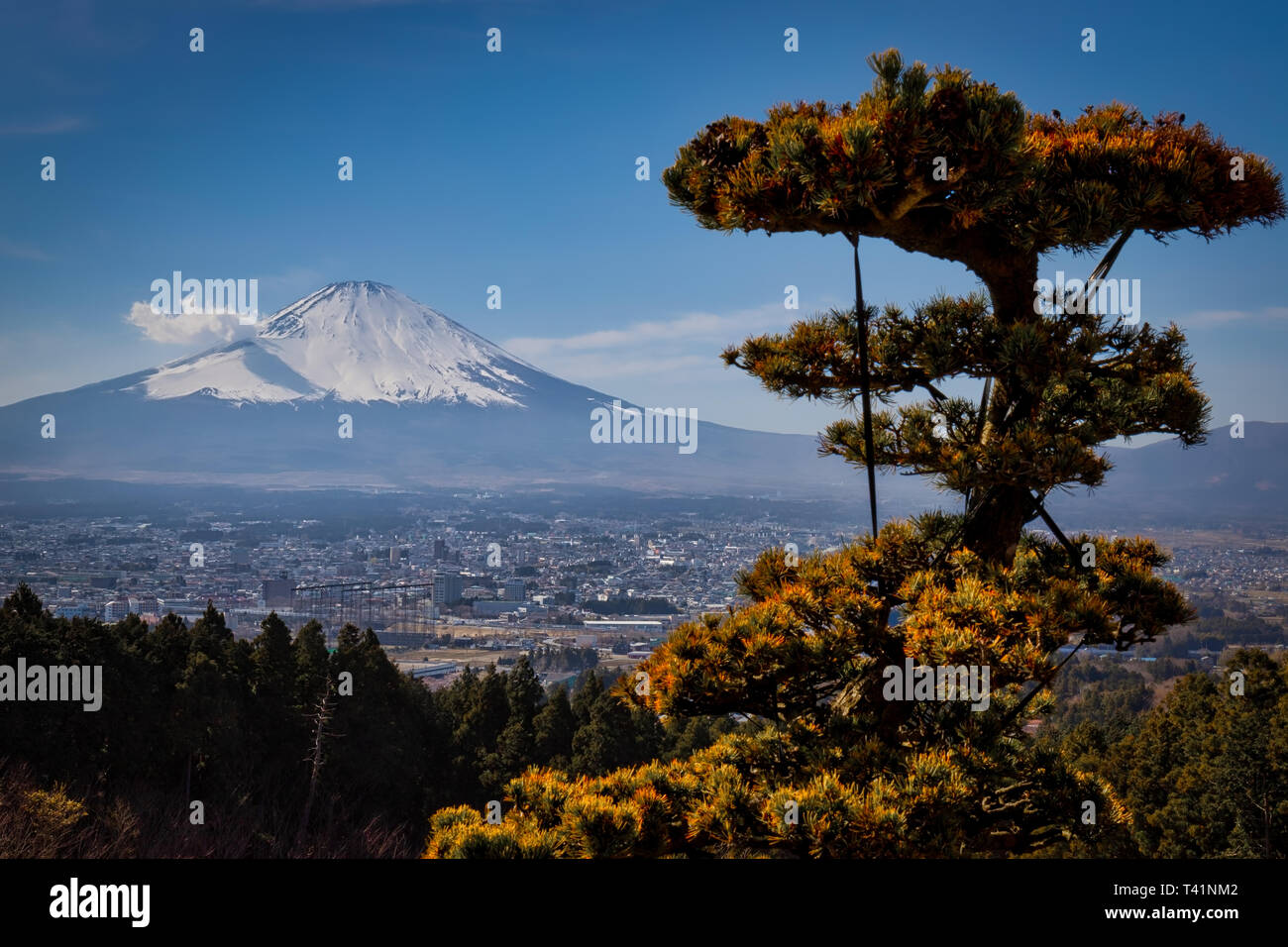 Die Stadt Gotemba, Japan mit dem Berg Fuji im Hintergrund. Stockfoto