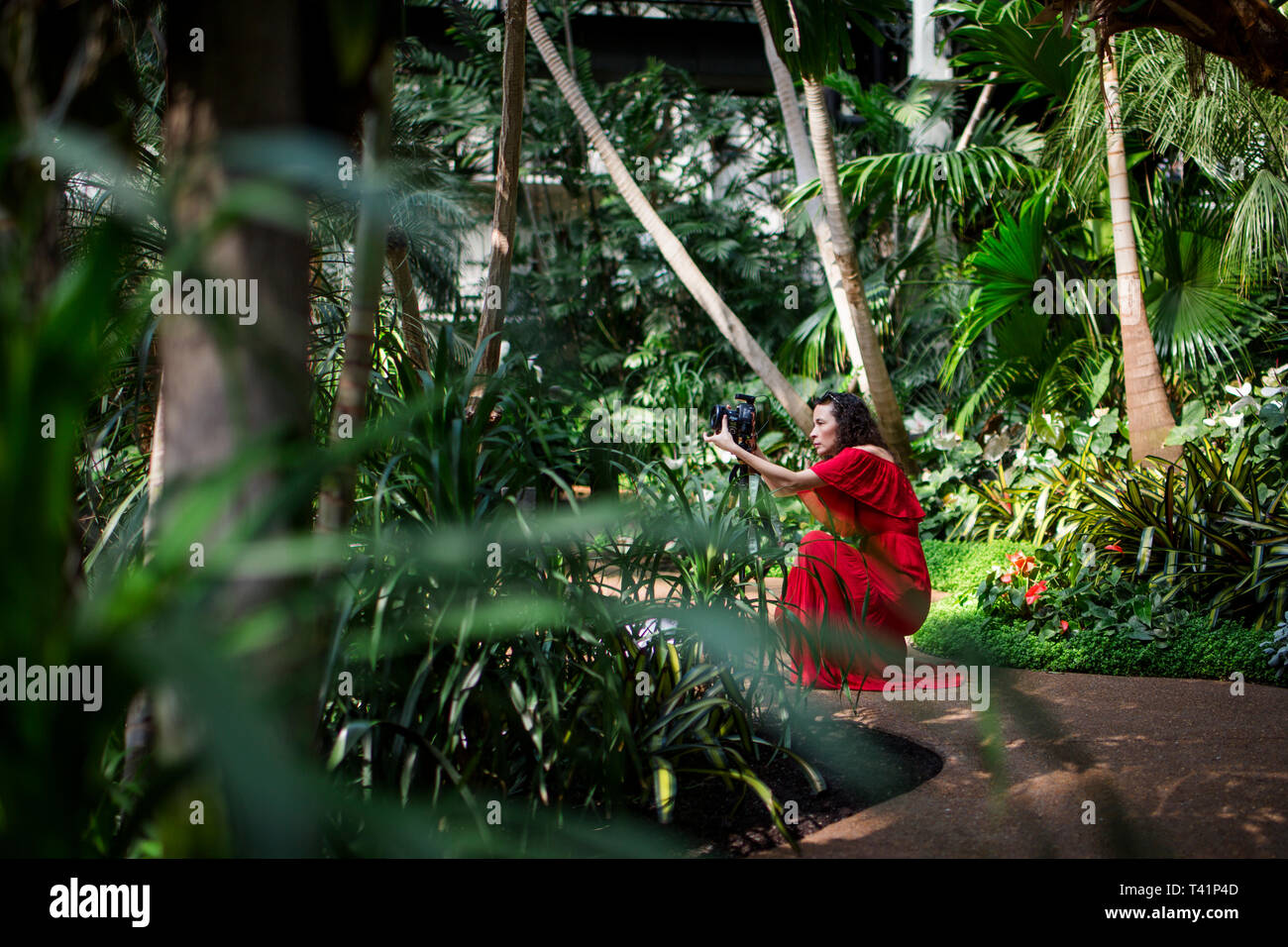 Eine Frau Fotograf in einem hellen roten Kleid kniet in einem üppigen Garten Stockfoto