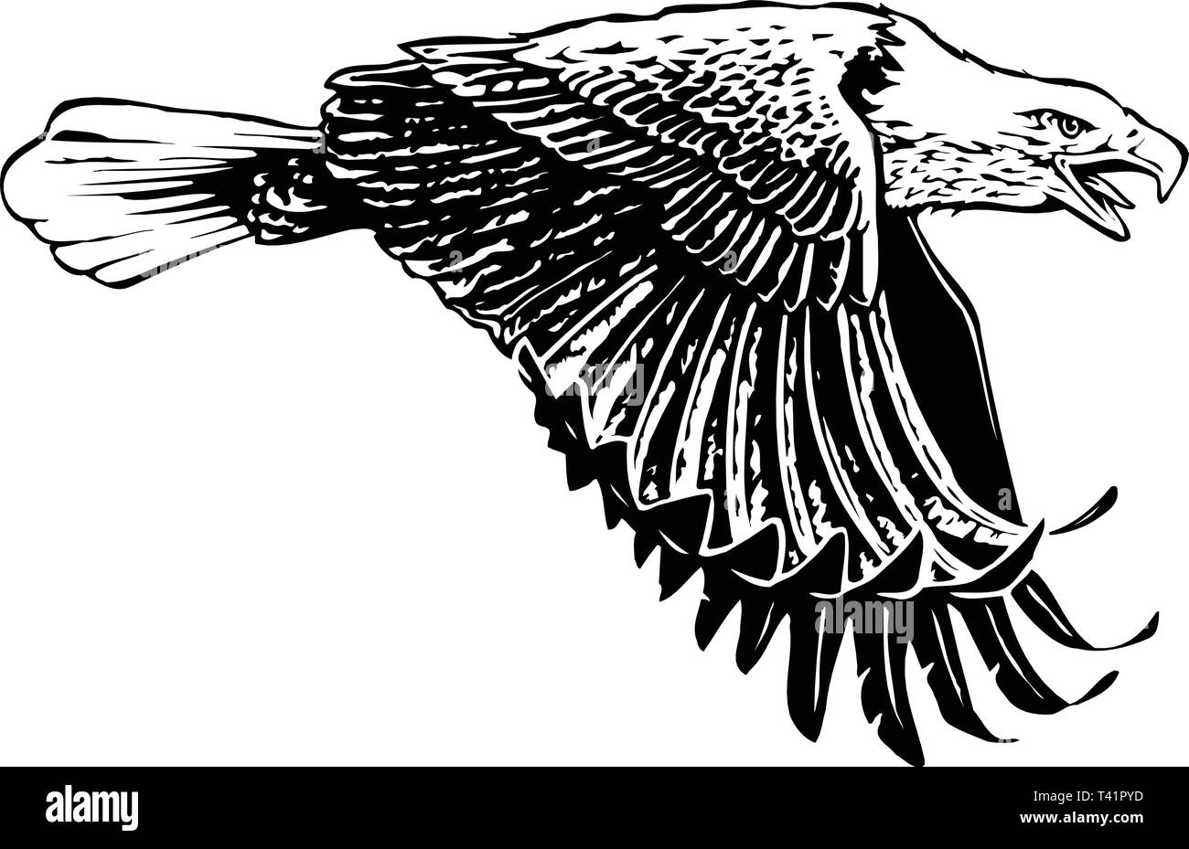 Eagle Flying Vector Illustration Stock Vektor