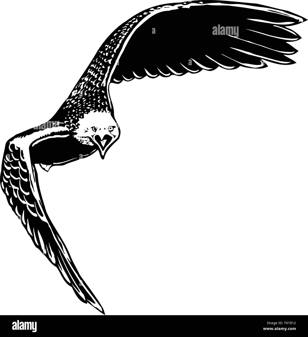 Adler gekippt Vector Illustration Stock Vektor