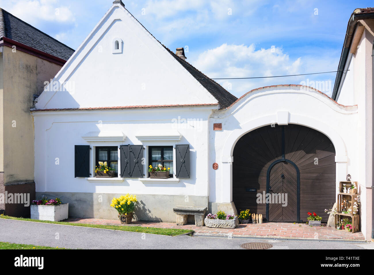 Antau: traditionelles Haus, Tür in Neusiedler See (Neusiedler See), Burgenland, Österreich Stockfoto