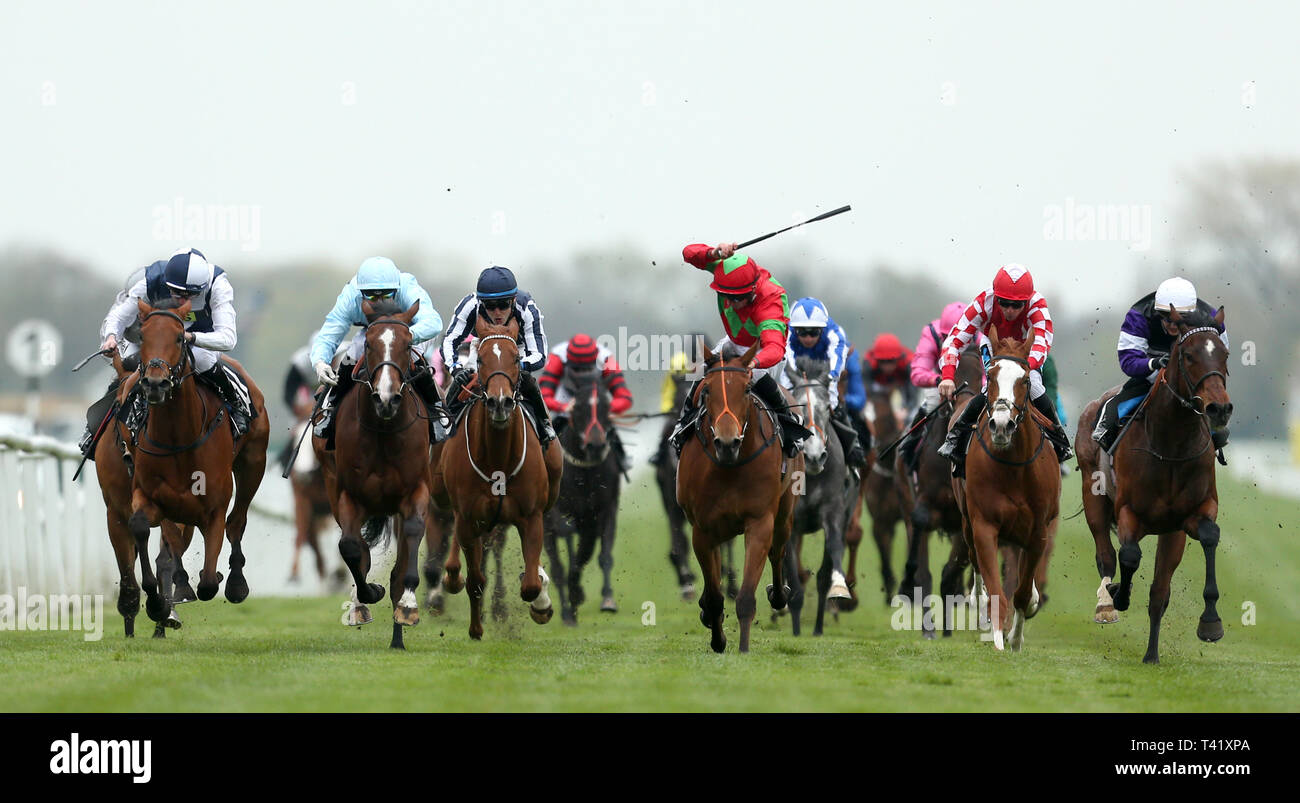 Schnell geritten von Tom Marquand (Mitte) geht auf den Coln Tal Stud Bridget Maiden FilliesÕ Einsätze während des Tages eine der Dubai Duty Free Feder Studien Wochenende in Newbury Racecourse, Newbury zu gewinnen. Stockfoto