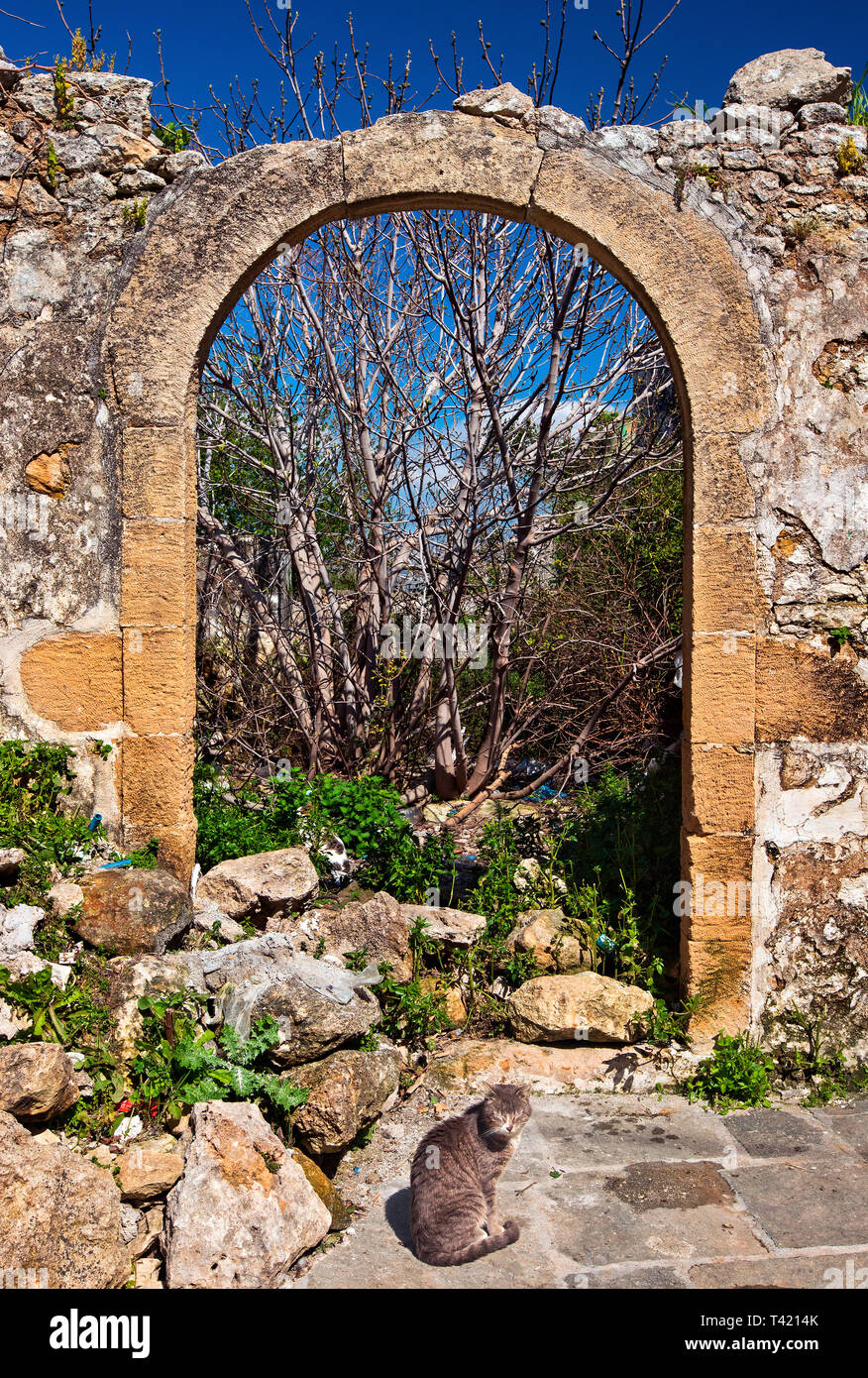 Verlassenes Haus, 'bewacht', die von einer Katze im Dorf Agios Ioannis, Mylopotamos Gemeinde, Rethimnon, Kreta, Griechenland. Stockfoto