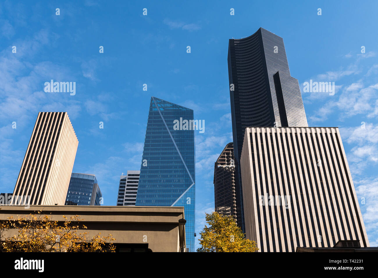 Die Columbia Center Tower, und die Mark Tower in Seattle, Washington, USA. Stockfoto