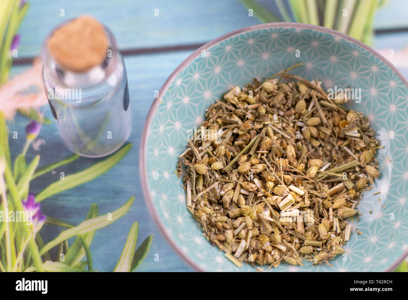 Schafgarbe Heilkräuter detail Stockfoto