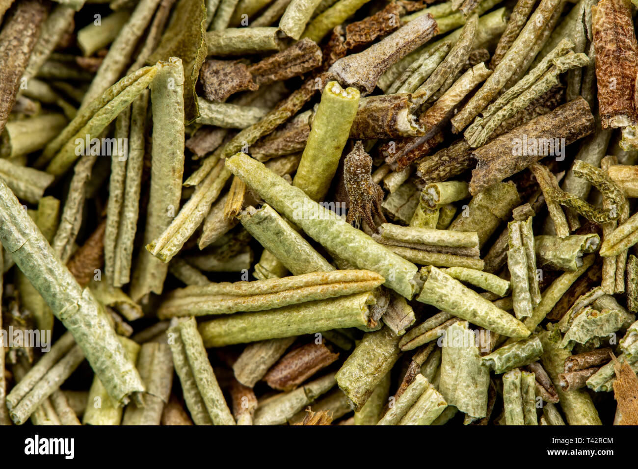 Rosmarin spice Heilkräuter detail Stockfoto