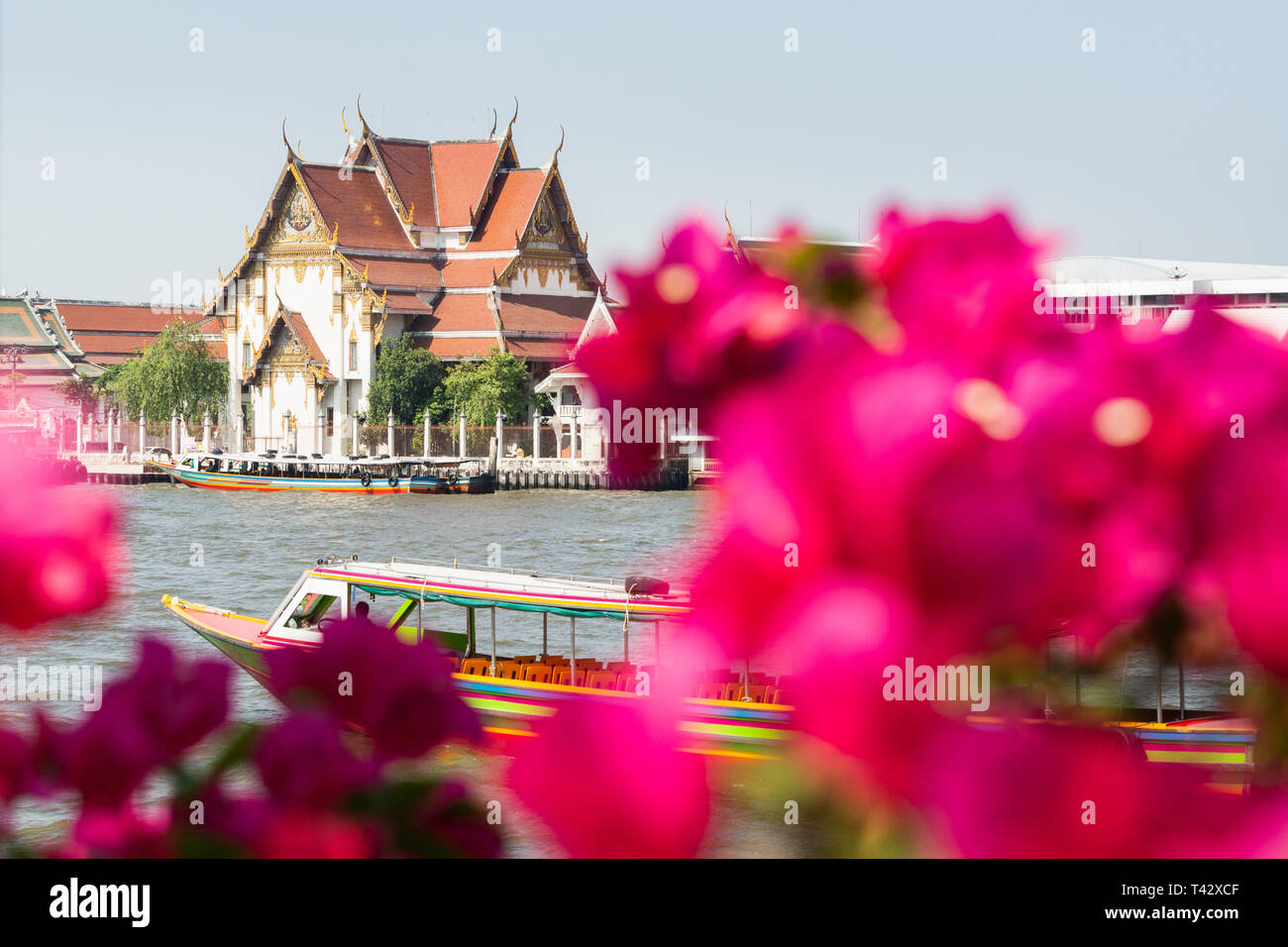 Ausblick auf Wat Rakang Kositaram Woramahawihan Tempel und Chao Phraya River durch die Blumen in Bangkok, Thailand. Verschwommene Vordergrund, geringe Tiefe von fi Stockfoto