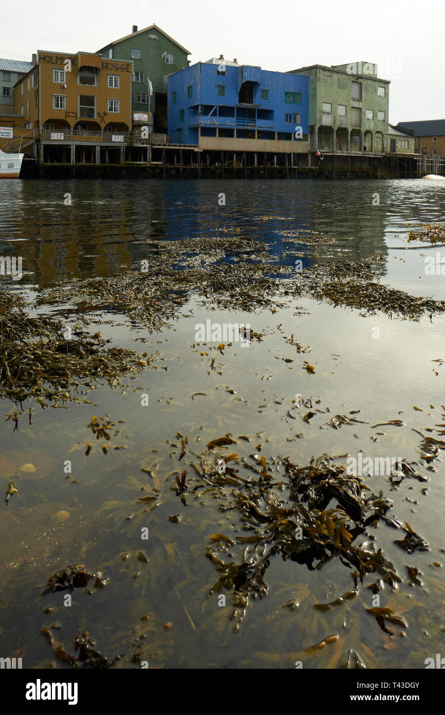 Nyksund Küsten Fischerdorf auf der Fernbedienung, um den nördlichen Teil der Insel Langøyas in den Vesterålen Inseln Norwegen Stockfoto