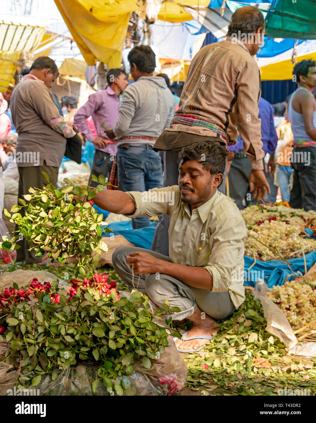 Vertikale Porträt der blumenverkäufer an Mullik Ghat Blumenmarkt in Kalkutta aka Kalkutta, Indien. Stockfoto