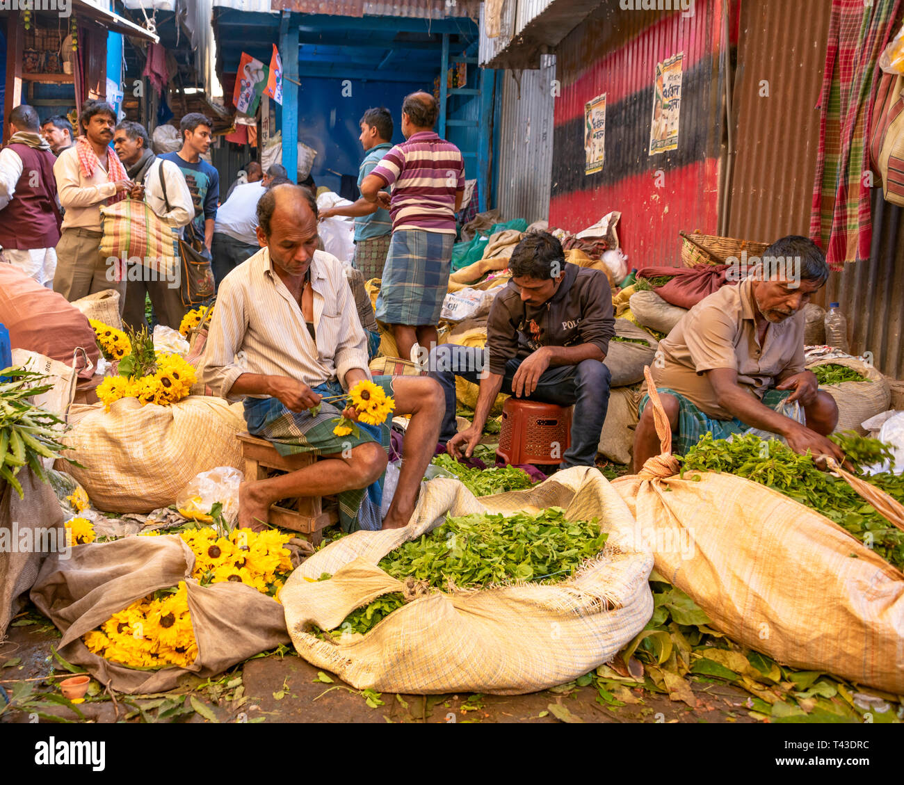 Horizontale Ansicht der Arbeitnehmer bei Mullik Ghat Blumenmarkt in Kalkutta aka Kalkutta, Indien. Stockfoto
