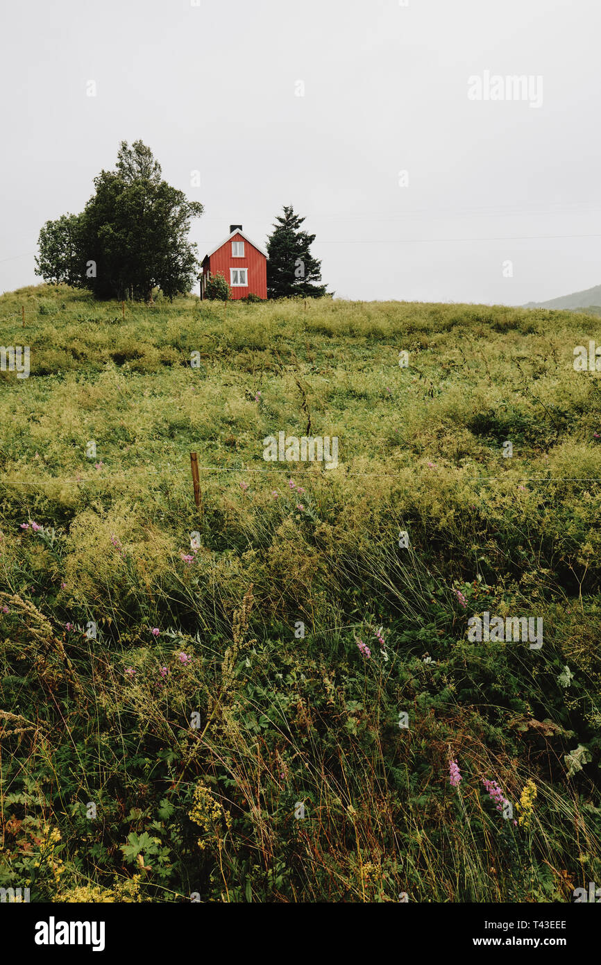 Ein einsames rotes Fachwerkhaus in der norwegischen Landschaft. Stockfoto