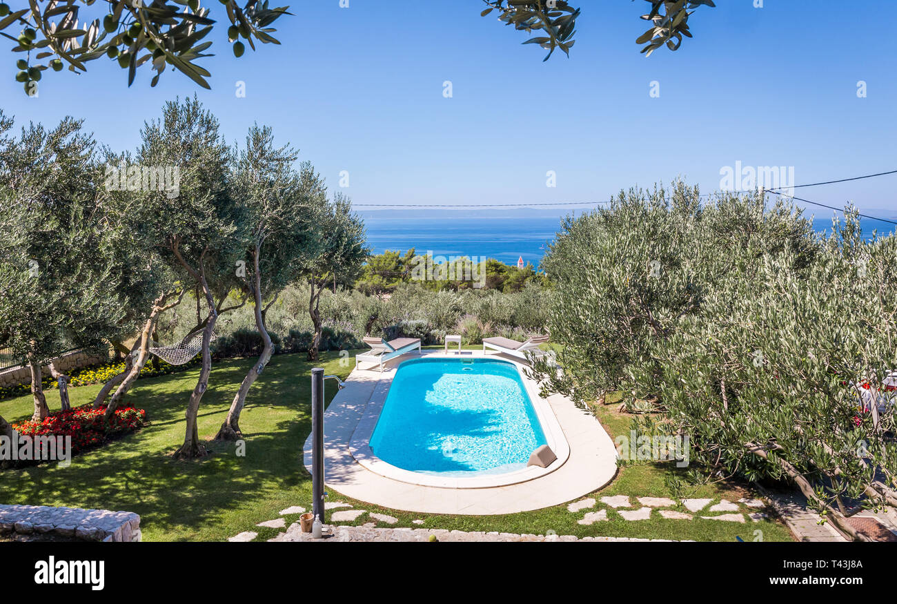 Privates Schwimmbad mit türkisblauem Wasser und im wunderschönen Garten. Stockfoto