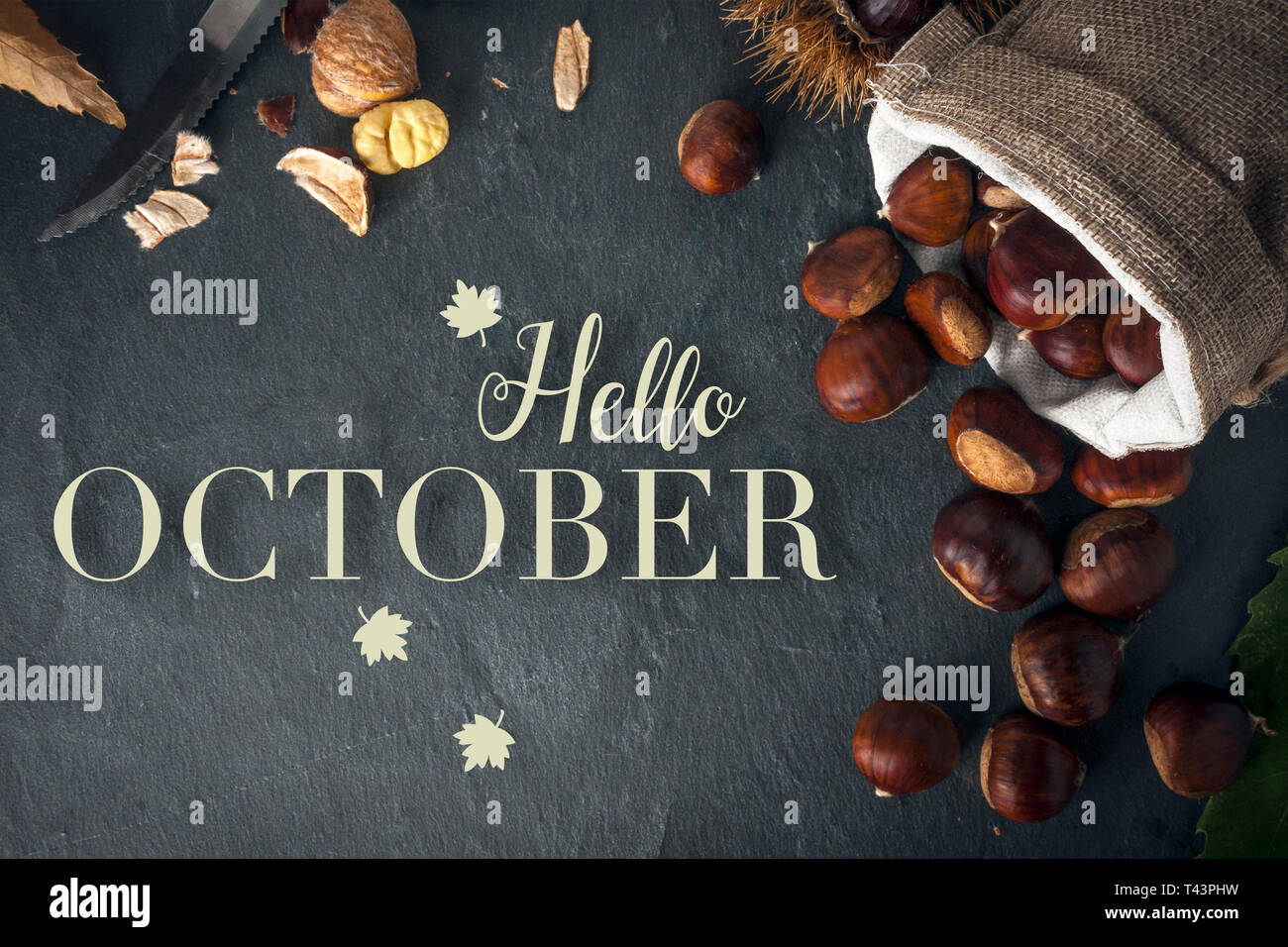 Hallo Oktober Karte. Gebratene Kastanien auf einem Felsen Tabelle mit einem Messer. Stockfoto