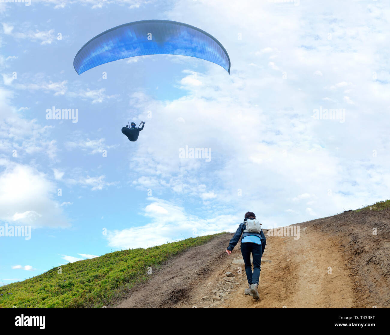 Schwebende Fliegen Stockfotos Und Bilder Kaufen Alamy
