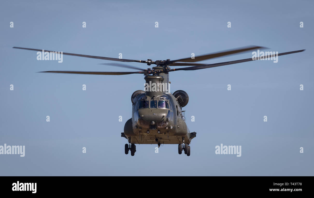 YEOVILTON, Großbritannien - 7.Juli 2018: Ein RAF Chinook Hubschrauber im Flug über RNAS Yeovilton Flugplatz in South Western UK Stockfoto