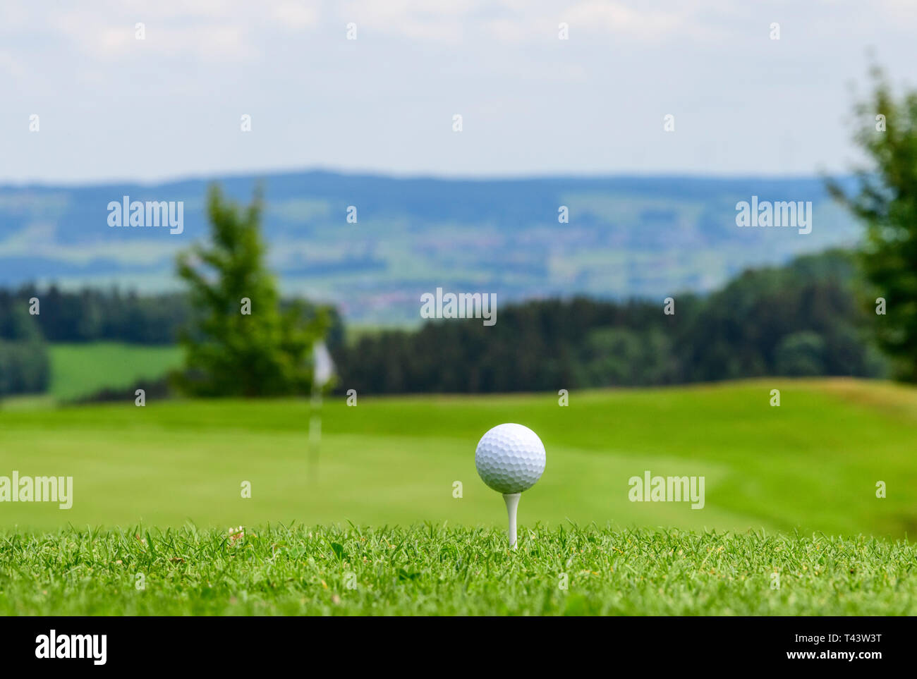 T-Stück weg auf einem Golfkurs in der grünen Natur Stockfoto