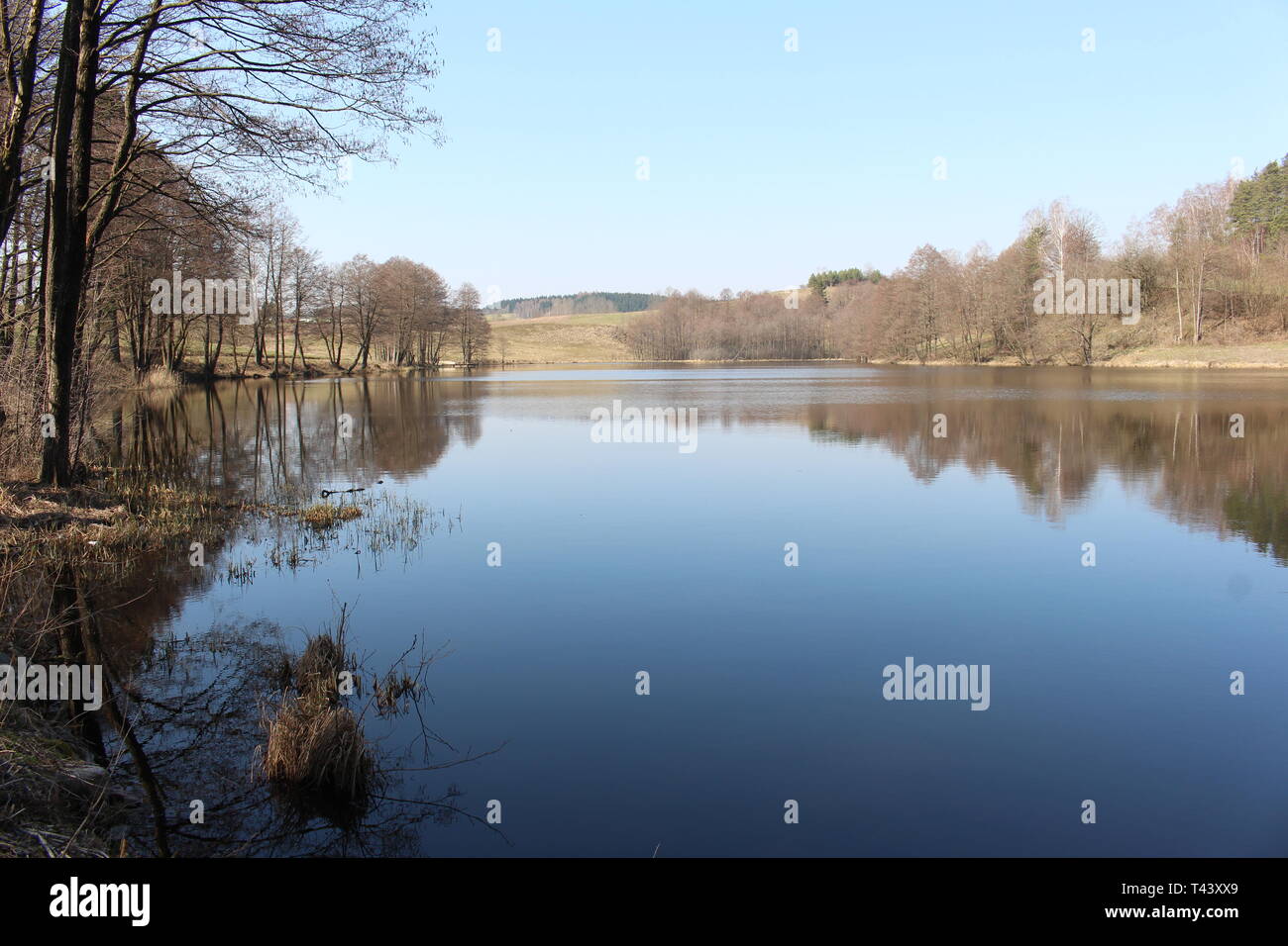 Blick auf den See (Suwalki Landschaftspark, Podlasien, Polen, Europa) Stockfoto