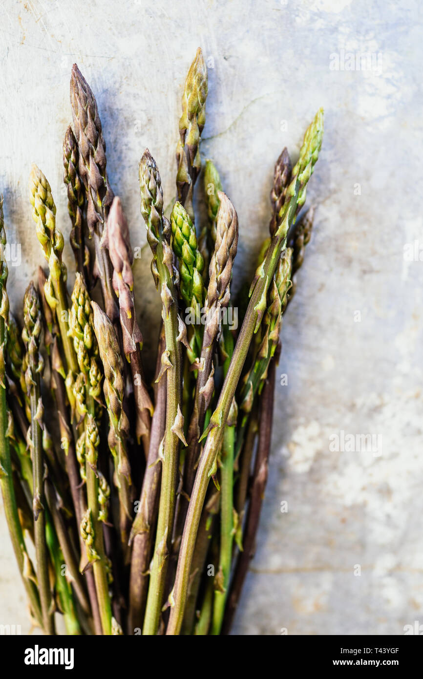 Wilder Spargel auf Metall oberfläche Stockfoto