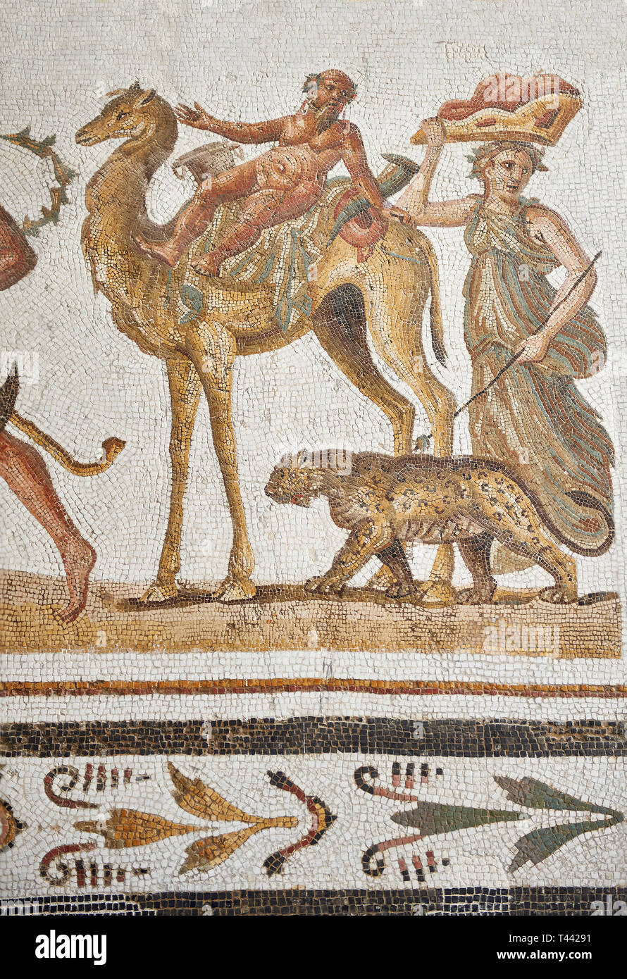 Bild eines römischen Mosaiken Entwurf mit silen auf einem Kamel reiten, von der antiken römischen Stadt Thysdrus. 2., Haus des Dionysos Pro Stockfoto