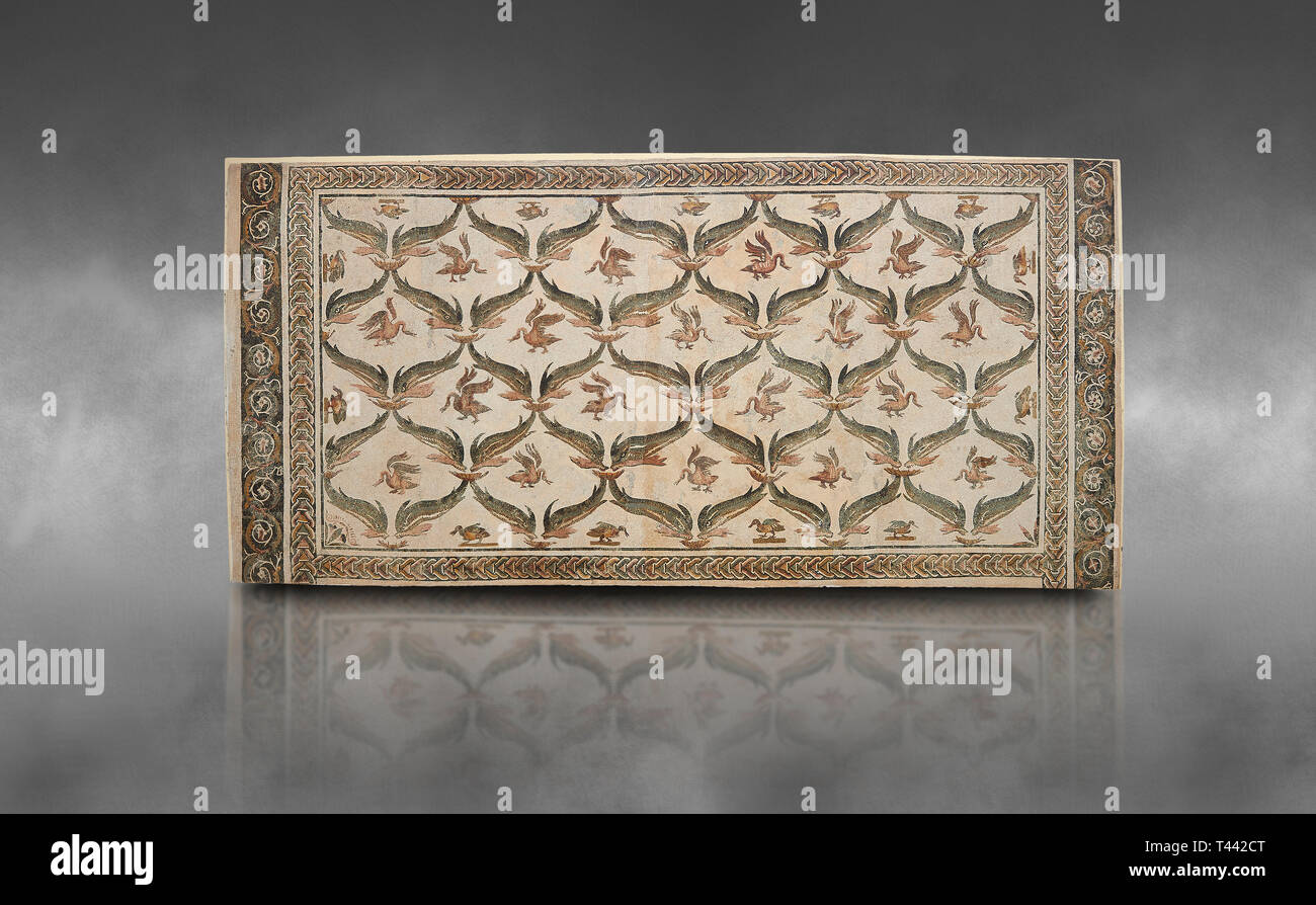 Bild eines geometrischen römischen Mosaiken Design mit Delphinen und Schwäne Designs, von der antiken römischen Stadt Thysdrus. 3. Jahrhundert AD, Haus der Dolphi Stockfoto