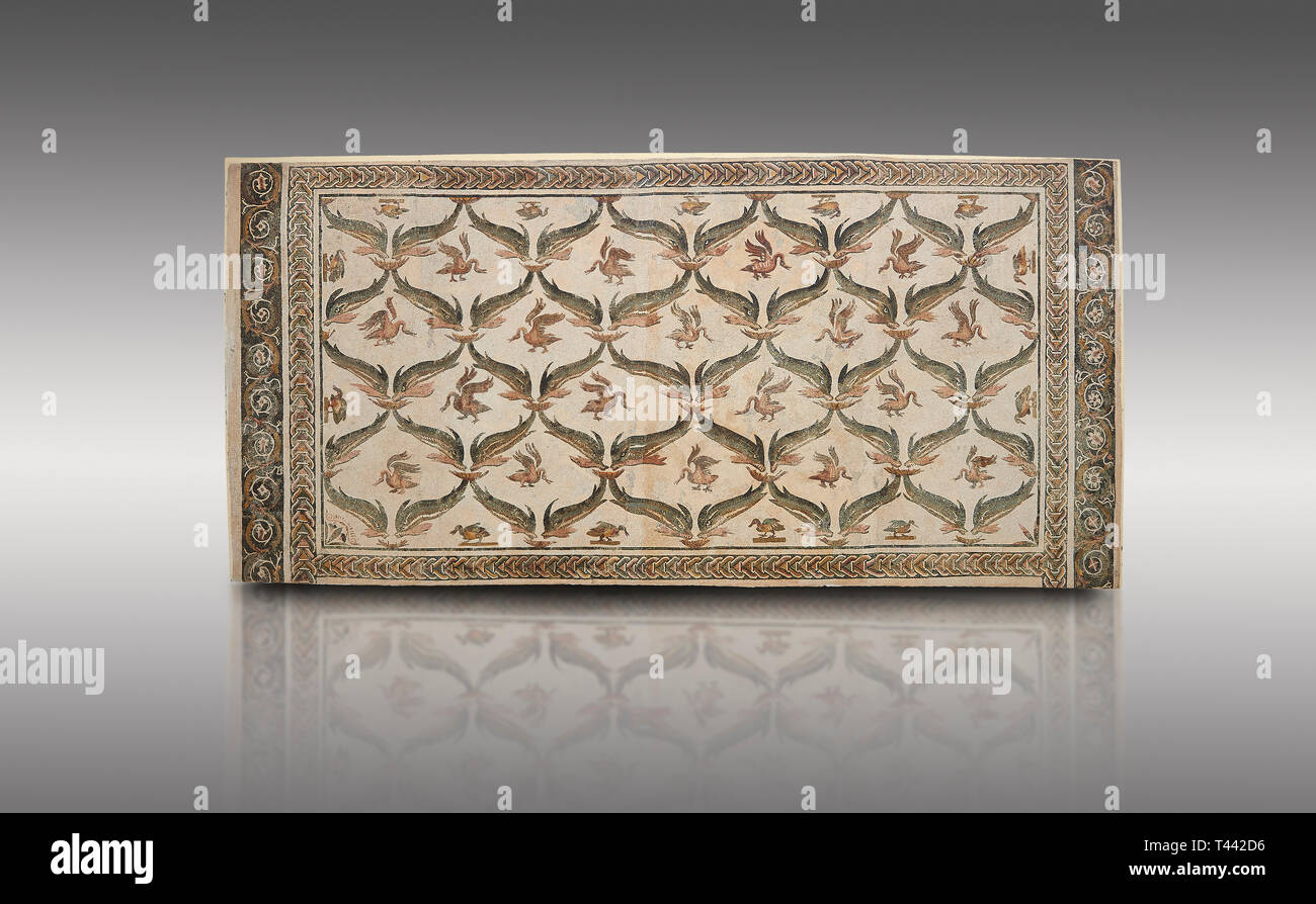 Bild eines geometrischen römischen Mosaiken Design mit Delphinen und Schwäne Designs, von der antiken römischen Stadt Thysdrus. 3. Jahrhundert AD, Haus der Dolphi Stockfoto