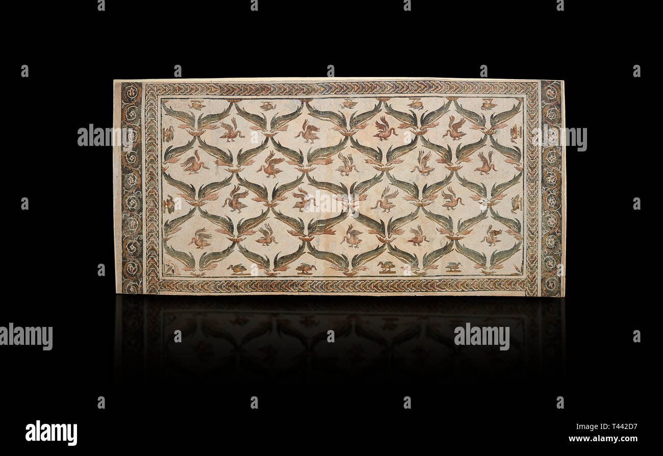 Bild eines geometrischen römischen Mosaiken Design mit Delphinen und Schwäne Designs, von der antiken römischen Stadt Thysdrus. 3. Jahrhundert AD, Haus der Dolphi Stockfoto