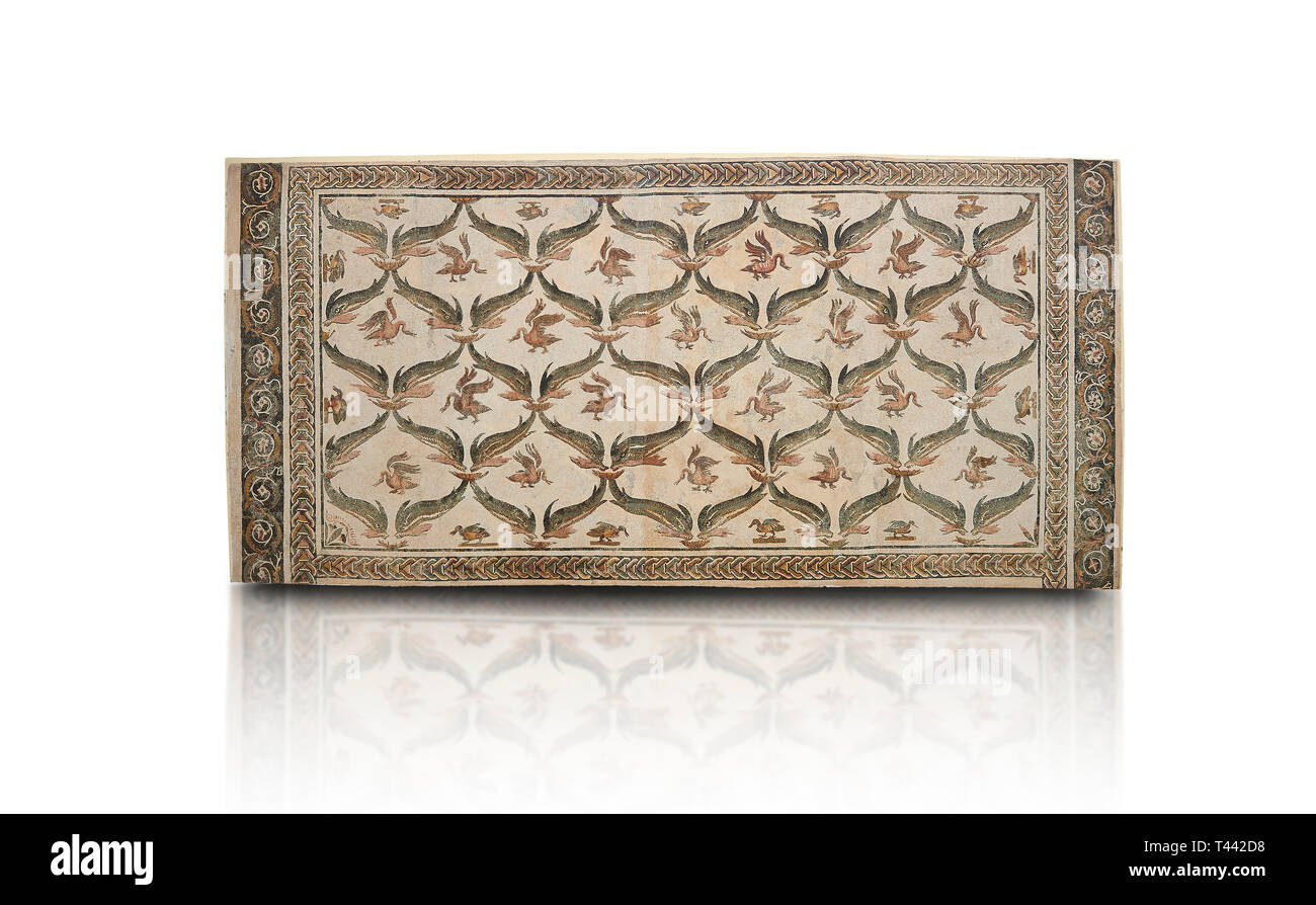 Bild eines geometrischen römischen Mosaiken Design mit Delphinen und Schwäne Designs, von der antiken römischen Stadt Thysdrus. 3. Jahrhundert AD, Haus der Dolphi Stockfoto