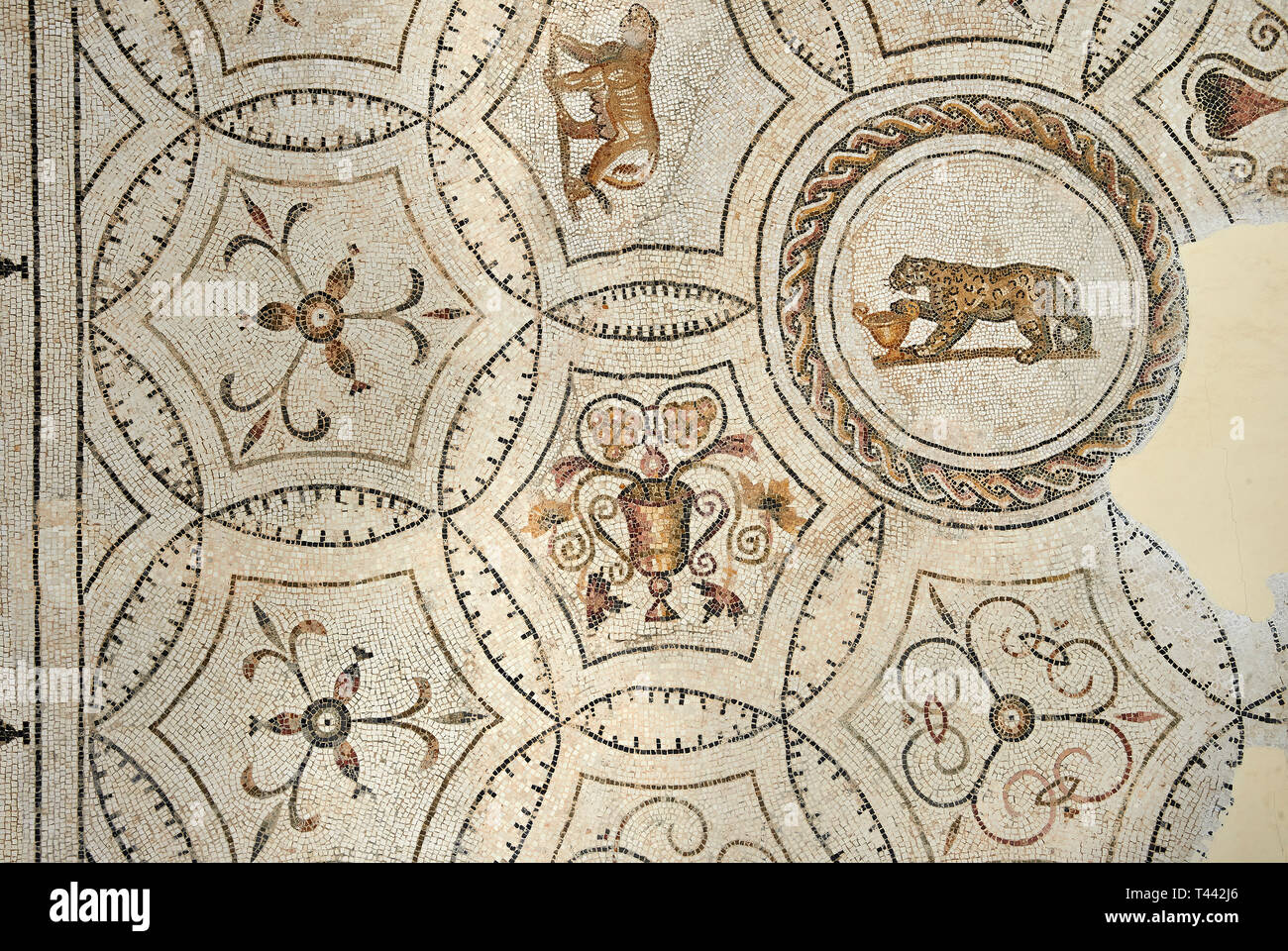 Bild einer Dionysischen römischen Mosaiken Entwurf mit einer Löwin und ein Panther vor einem Wein Krater, von der antiken römischen Stadt Thysdrus. 3. Stockfoto