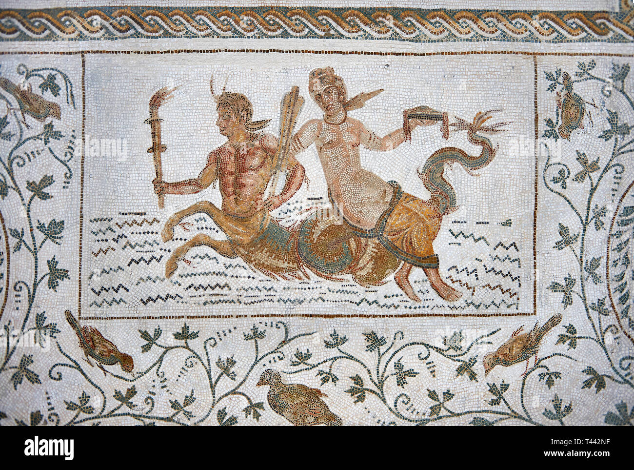 Bild eines römischen Mosaiken Design, die Szenen aus dem Leben des Dionysos, eine Szene mit Ichthyocentaurs, Fisch tailed Kentauren und Nereiden, von der Stockfoto