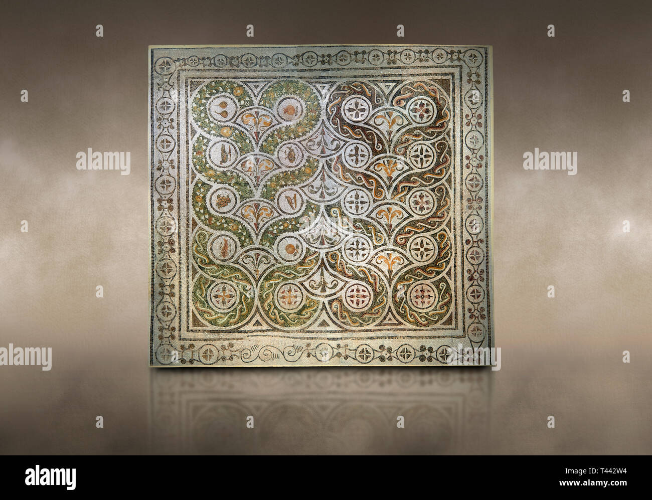 Bilder von einem römischen Mosaiken mit Medaillons mit Mosaik Vögel, Fische und Obst, von der antiken römischen Stadt Thysdrus, Haus in der M'Barek R Stockfoto