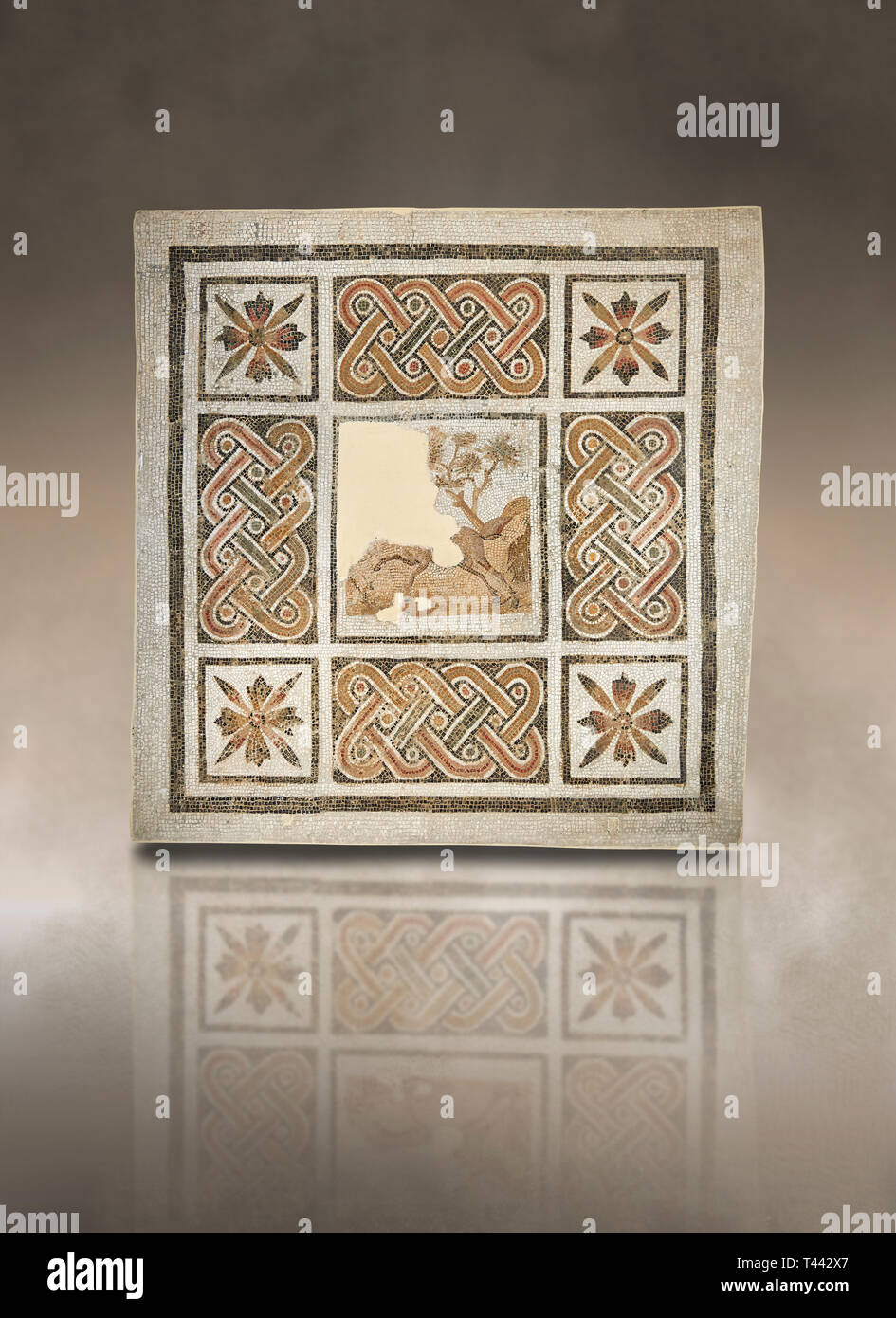 Bilder von einem geometrischen römischen Mosaiken mit Gurt und kreuzförmigen Blumen und in der Mitte eine beschädigte Darstellung eines Laufender Hirsch, von der antiken Stockfoto