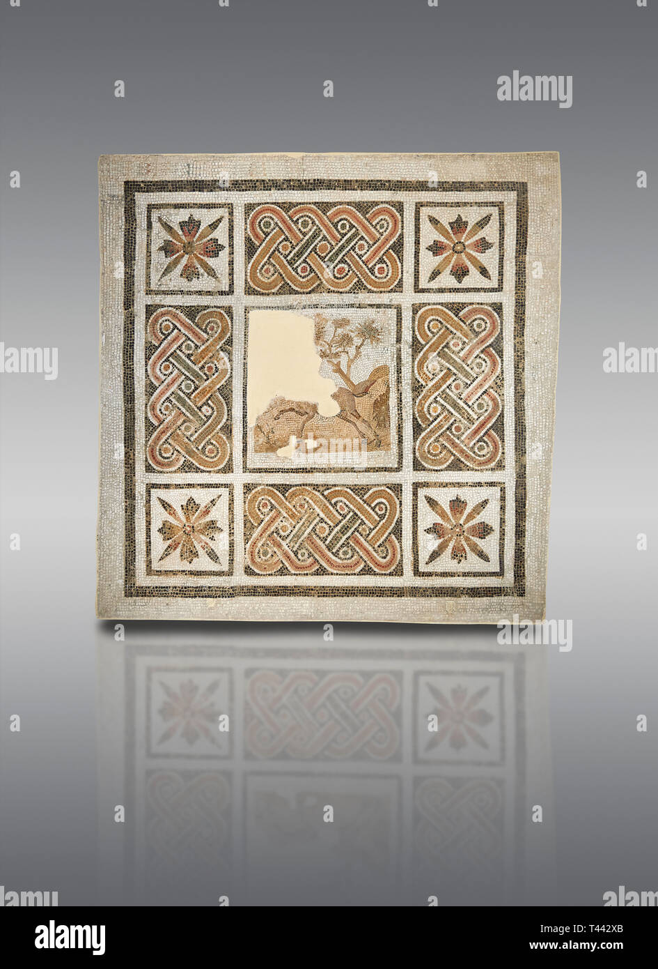 Bilder von einem geometrischen römischen Mosaiken mit Gurt und kreuzförmigen Blumen und in der Mitte eine beschädigte Darstellung eines Laufender Hirsch, von der antiken Stockfoto