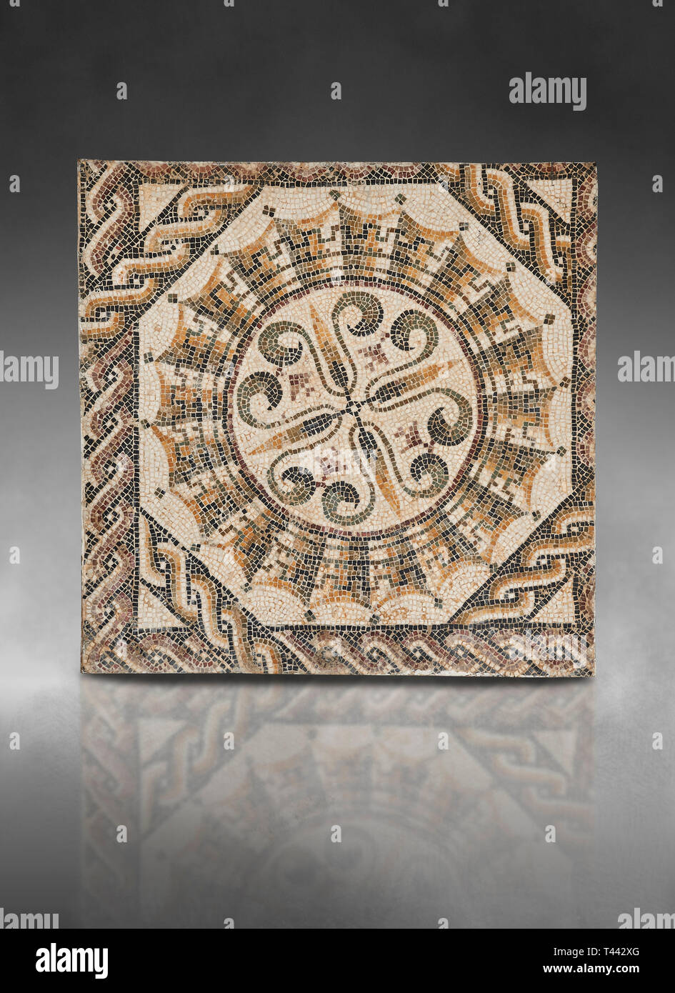 Bilder von einem geometrischen römische Mosaik, von der antiken römischen Stadt Thysdrus. 3. Jahrhundert n. El Djem Archäologische Museum, El Djem, Tunesien. Stockfoto
