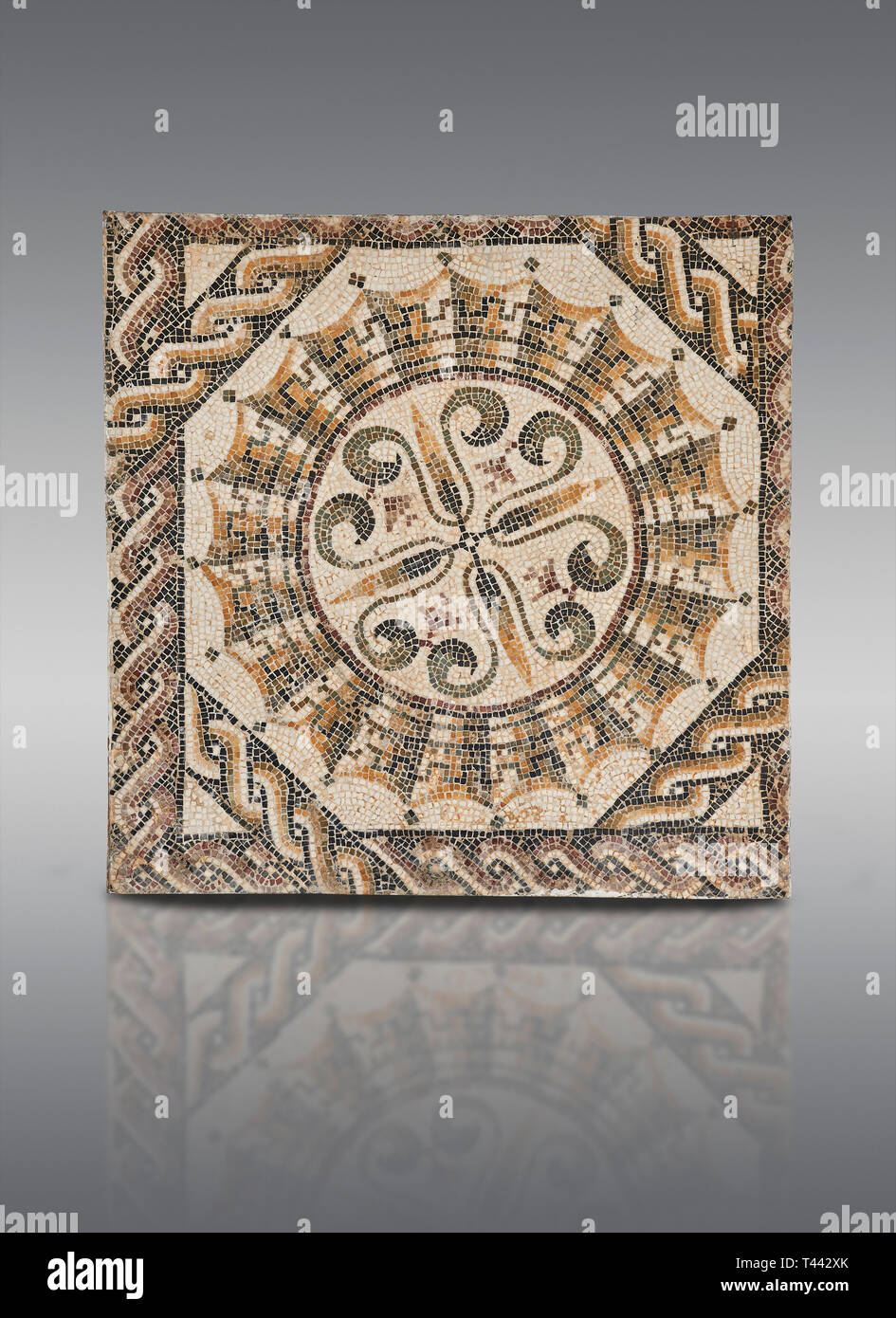 Bilder von einem geometrischen römische Mosaik, von der antiken römischen Stadt Thysdrus. 3. Jahrhundert n. El Djem Archäologische Museum, El Djem, Tunesien. Stockfoto