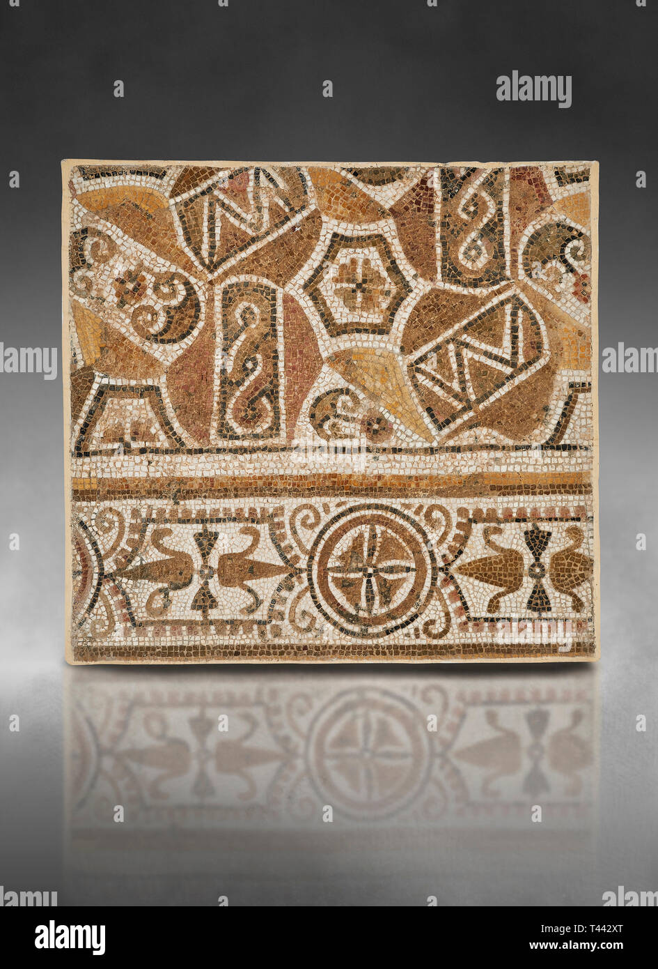 Bilder von einem geometrischen römische Mosaik, von der antiken römischen Stadt Thysdrus. 3. Jahrhundert n. El Djem Archäologische Museum, El Djem, Tunesien. Stockfoto
