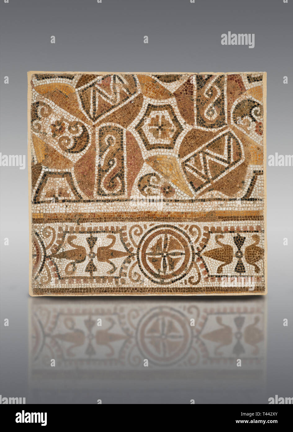 Bilder von einem geometrischen römische Mosaik, von der antiken römischen Stadt Thysdrus. 3. Jahrhundert n. El Djem Archäologische Museum, El Djem, Tunesien. Stockfoto