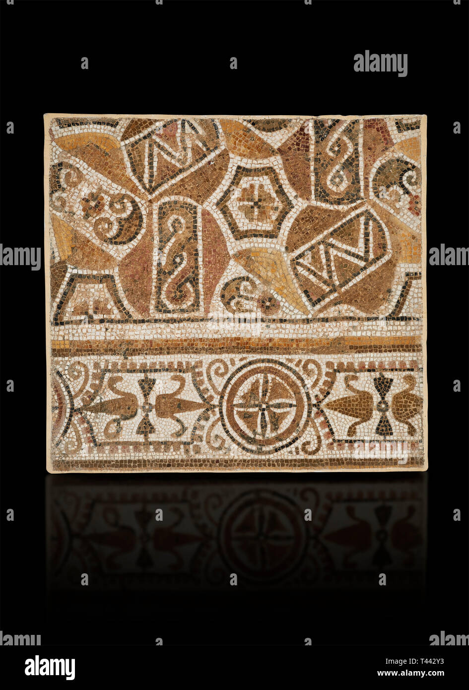 Bilder von einem geometrischen römische Mosaik, von der antiken römischen Stadt Thysdrus. 3. Jahrhundert n. El Djem Archäologische Museum, El Djem, Tunesien. Stockfoto