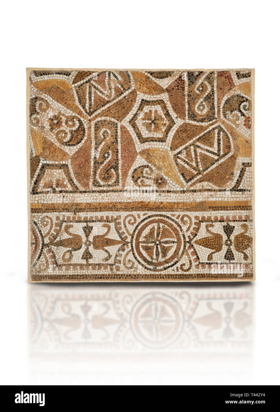 Bilder von einem geometrischen römische Mosaik, von der antiken römischen Stadt Thysdrus. 3. Jahrhundert n. El Djem Archäologische Museum, El Djem, Tunesien. Stockfoto