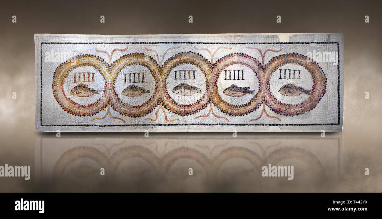 Bilder von einem geometrischen Römischen Haustür Mosaiken, die fünf Fische durch Bars und einem Medaillon umgeben, von der antiken römischen Stadt Thysdrus. 3. Stockfoto