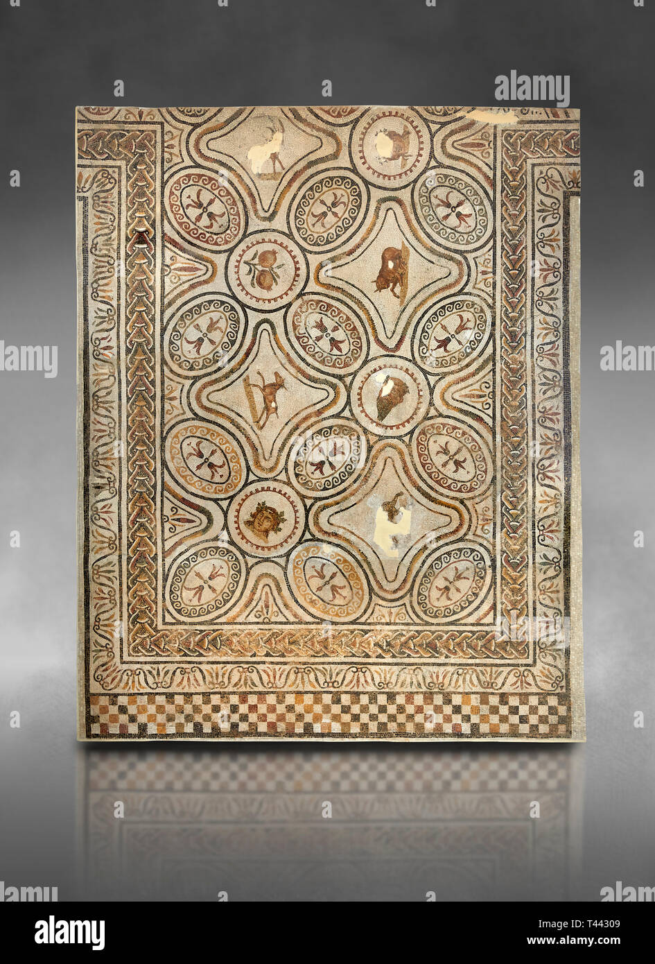 Bilder von einem geometrischen römischen Mosaiken mit Tieren & Obst, von der antiken römischen Stadt Thysdrus. 3. Jahrhundert n. El Djem Archäologische Museum, El Stockfoto