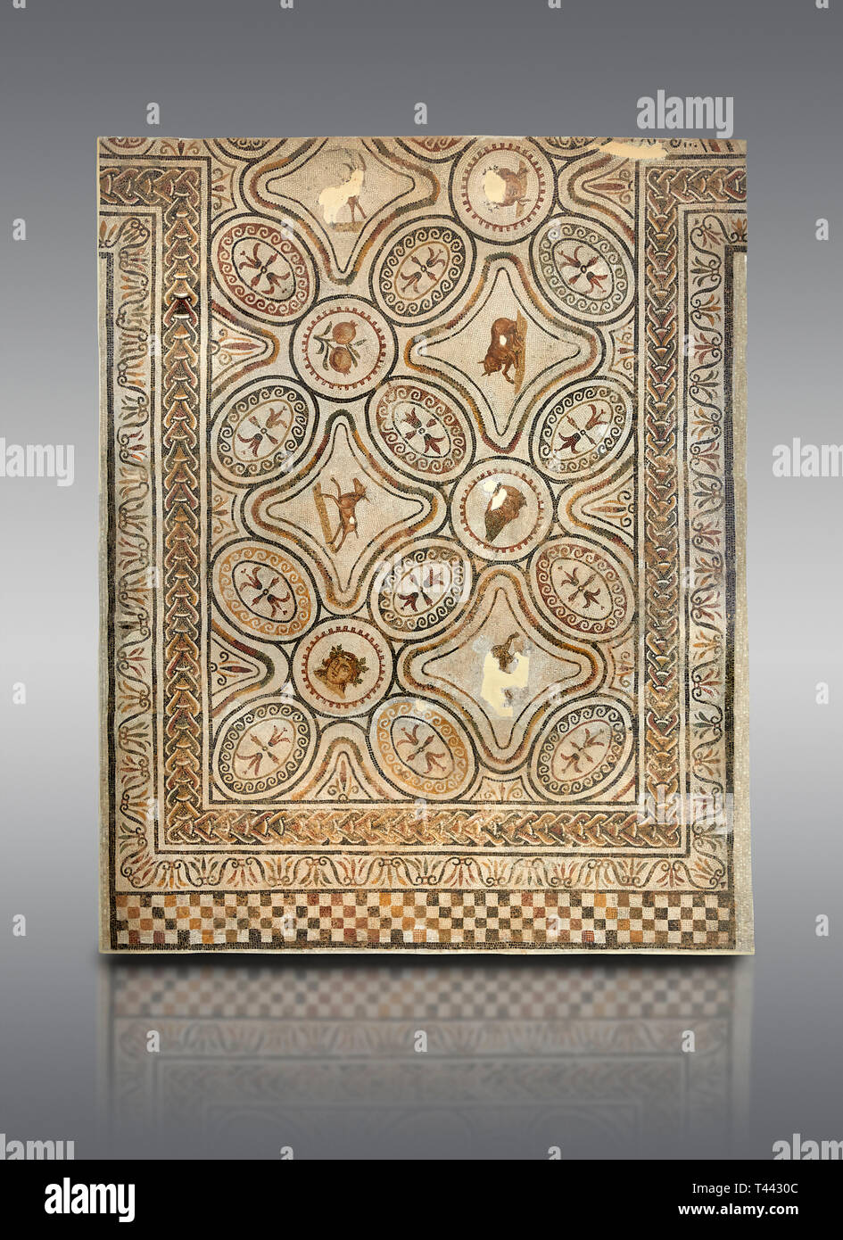 Bilder von einem geometrischen römischen Mosaiken mit Tieren & Obst, von der antiken römischen Stadt Thysdrus. 3. Jahrhundert n. El Djem Archäologische Museum, El Stockfoto